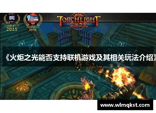 《火炬之光能否支持联机游戏及其相关玩法介绍》
