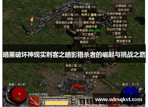 暗黑破坏神现实刺客之暗影猎杀者的崛起与挑战之路