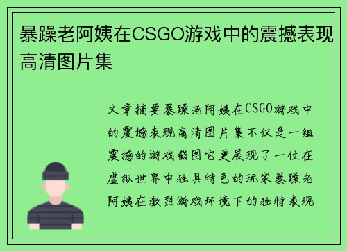 暴躁老阿姨在CSGO游戏中的震撼表现高清图片集